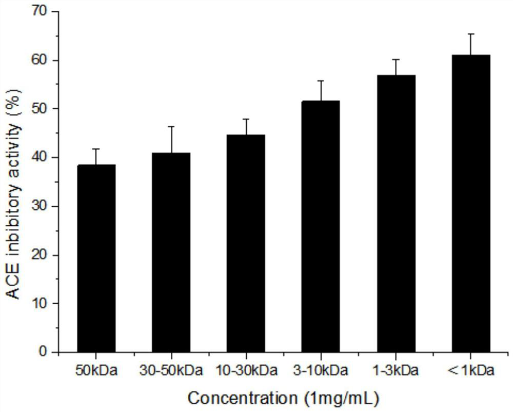 A kind of ace inhibitory peptide using chrysanthemum yellow puffer fish skin as raw material and preparation method