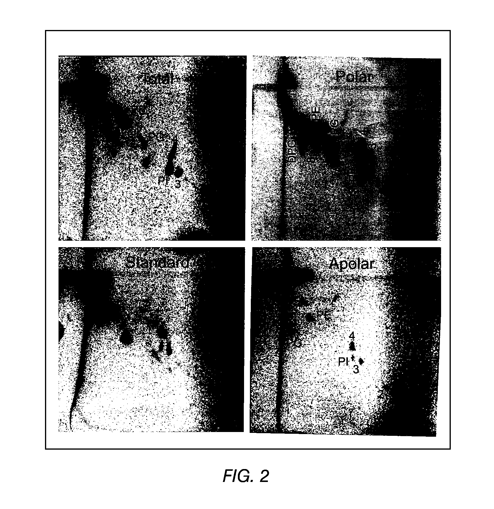 Adjuvant combinations of liposomes and mycobacterial lipids for immunization compositions and vaccines