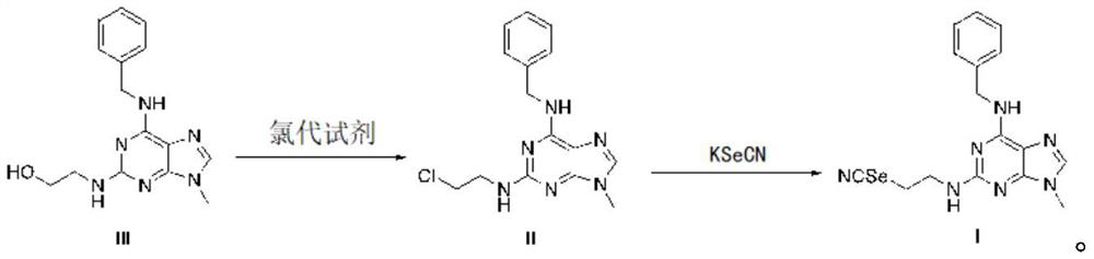 A kind of organic selenium compound and its preparation method and application