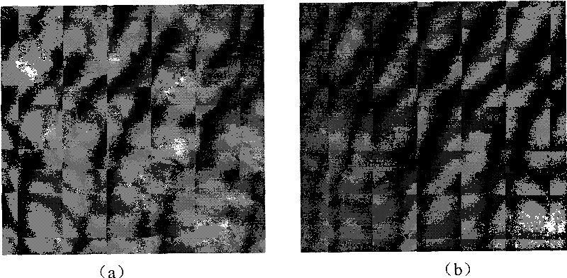 Method for fabric dying based on terylene environment protection type dye carrier