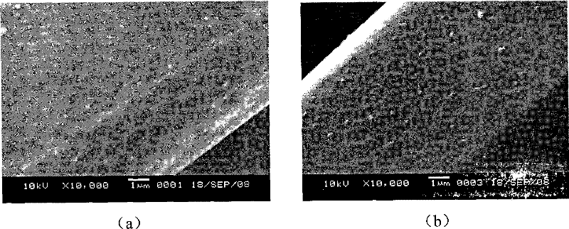 Method for fabric dying based on terylene environment protection type dye carrier