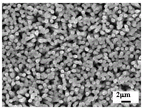 N-type ZnO nanorod/p-type diamond ultraviolet photovoltaic detector and preparation method thereof
