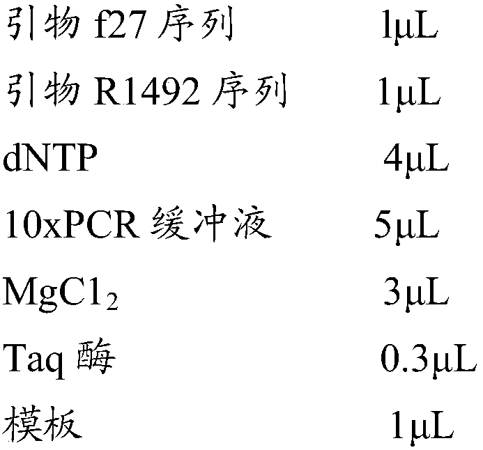 Composite bacterium preparation, preparation method thereof, and drilling well wastewater processing method