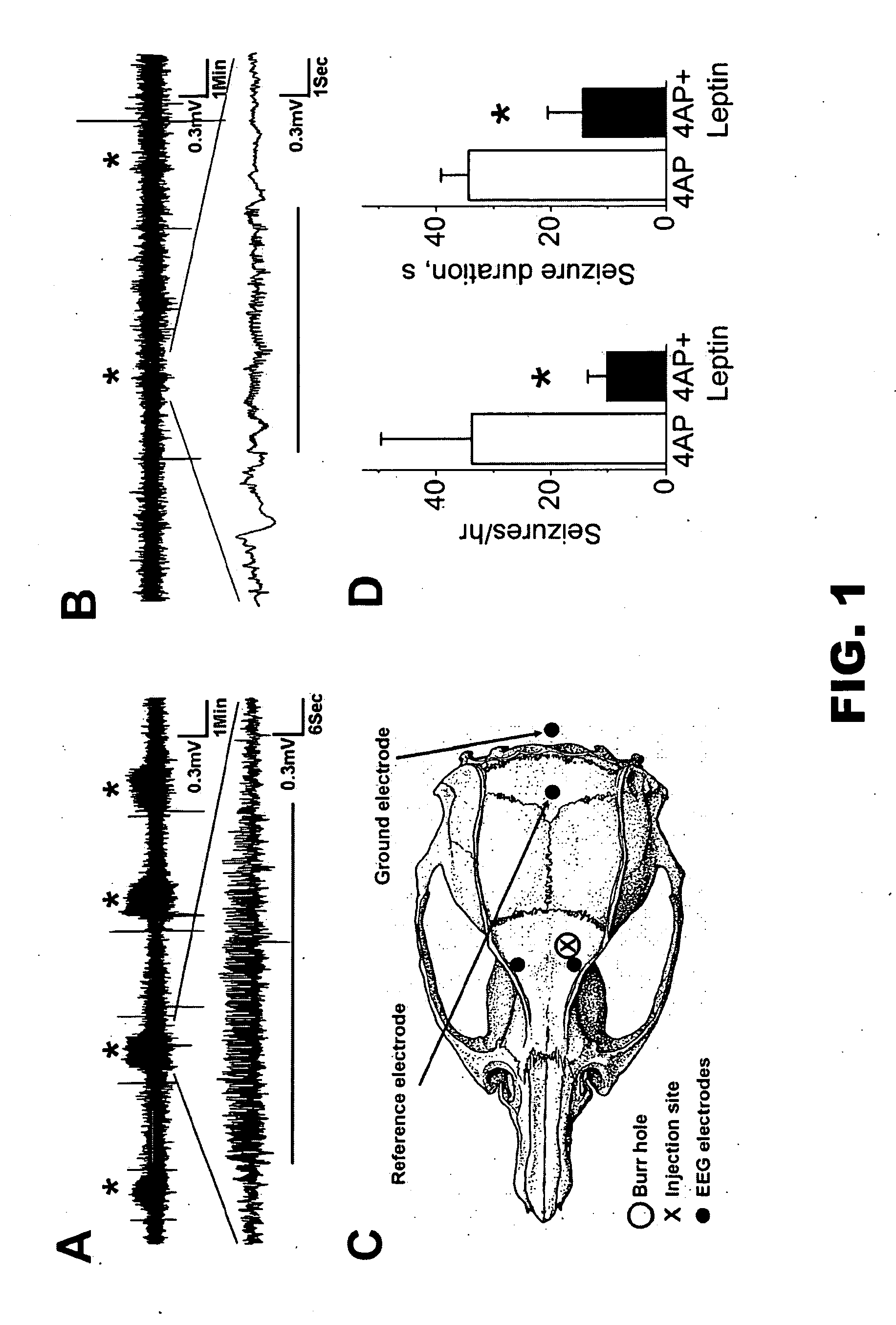 Methods of inhibiting seizure in a subject