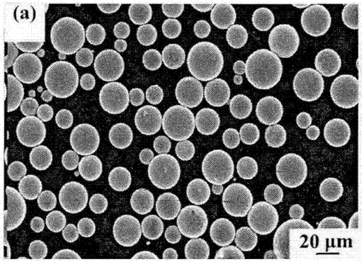 Preparation method and application of high-purity dense spherical molybdenum powder