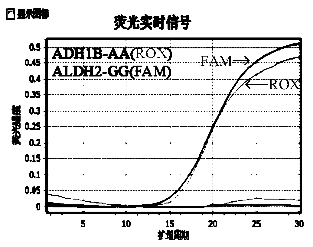 Composition, kit and method for detecting human ethanol metabolism gene polymorphism