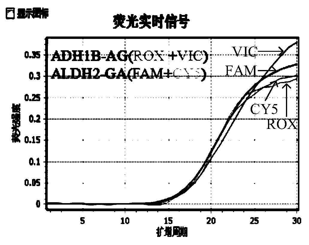 Composition, kit and method for detecting human ethanol metabolism gene polymorphism