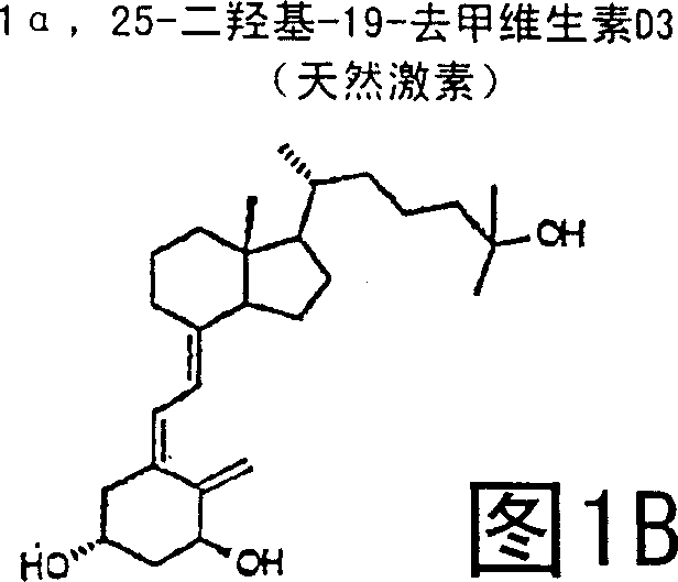 (20s)-1alpha-hydroxy-2-methylene-19-nor-bishomopregnacalciferol and its uses