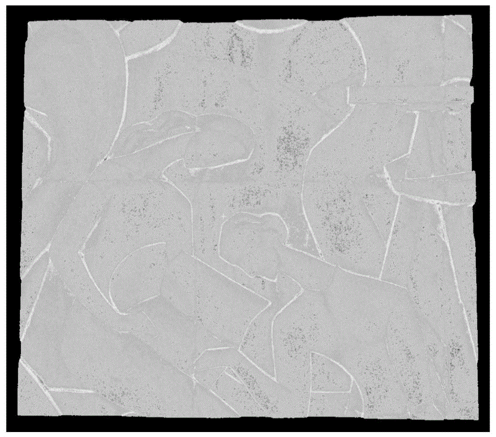 A method for generating reflection intensity images of ground lidar based on center projection