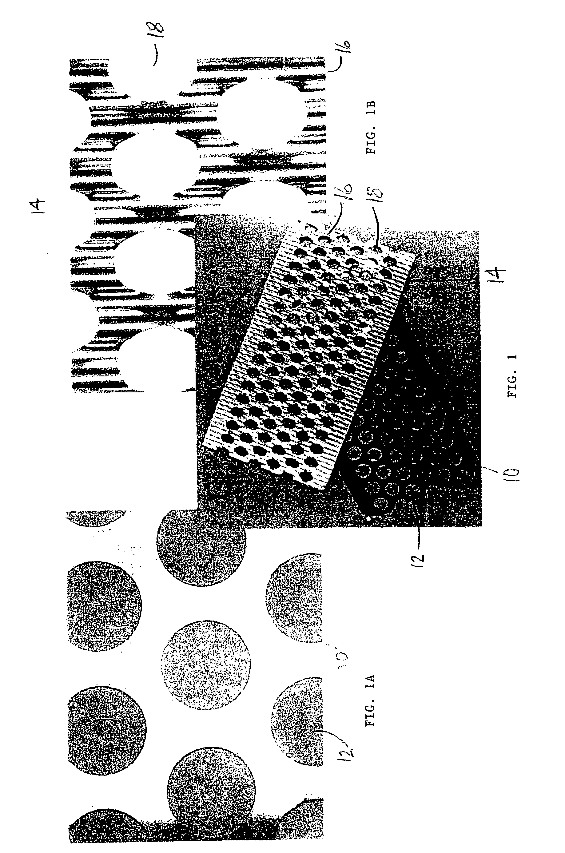 Coated substrate and process of preparation thereof