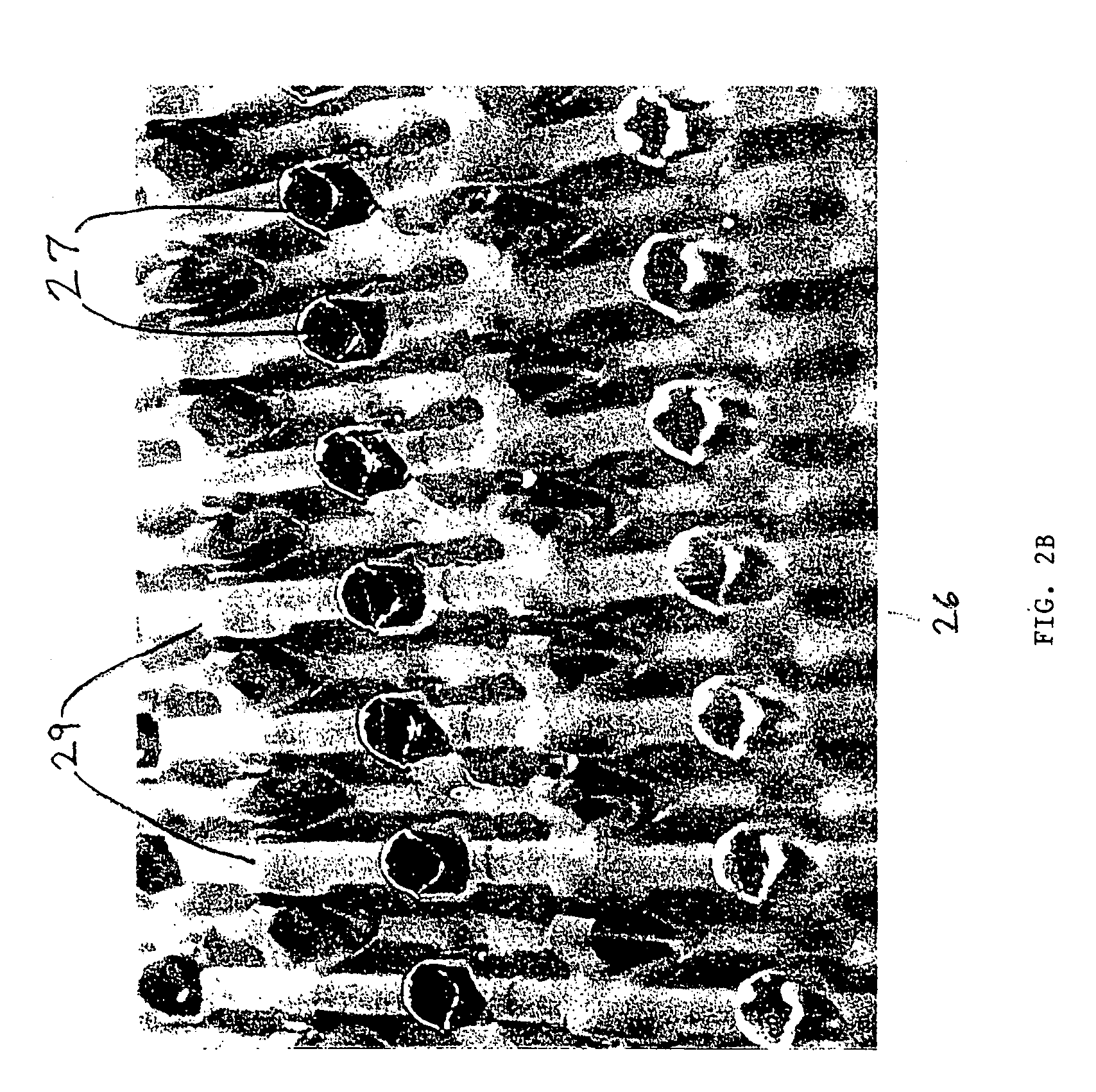 Coated substrate and process of preparation thereof