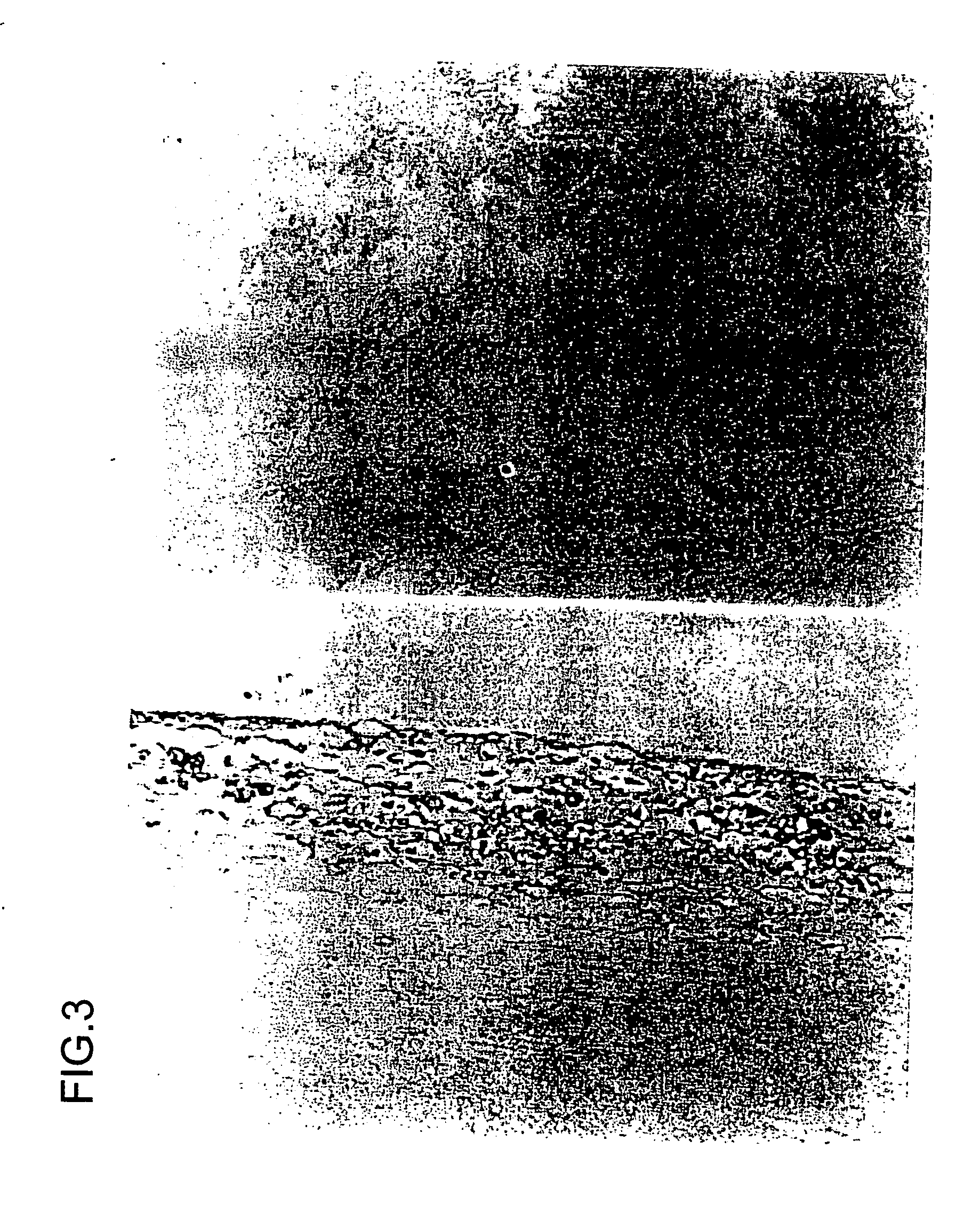 Pharmaceutical composition containing decoy and use of the same