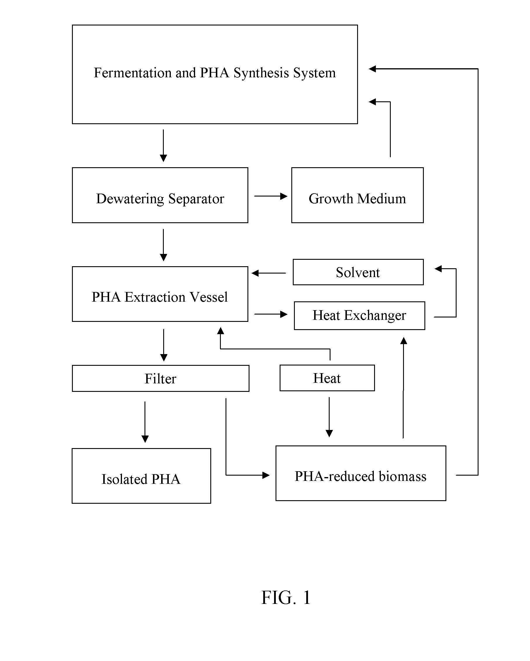 Polyhydroxyalkanoate production and related processes
