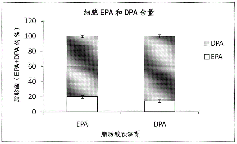 Combination of EPA, DPA and/or DHA with a chemotherapeutic agent