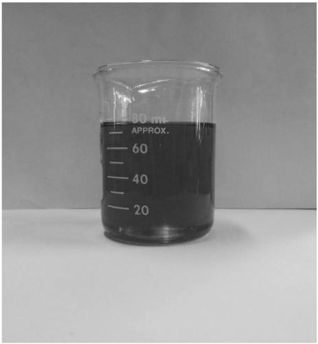 Elaeagnus angustifolia oil, method for preparing same and application of elaeagnus angustifolia oil used as raw material for biodiesel