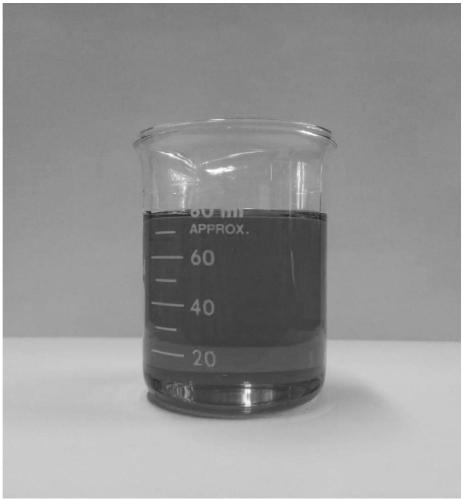 Elaeagnus angustifolia oil, method for preparing same and application of elaeagnus angustifolia oil used as raw material for biodiesel
