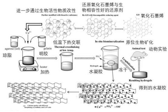 Conductive hydrogel biomimetic gradient mineralization method based on graphene bioactive macromolecules