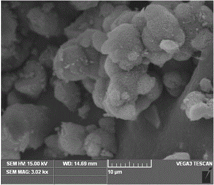 Nitrogen-rich hierarchical pore carbon material and preparation method