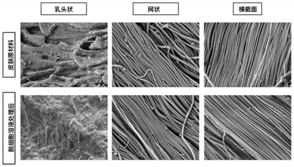 Hydrated acellular skin substitute material and manufacturing method thereof