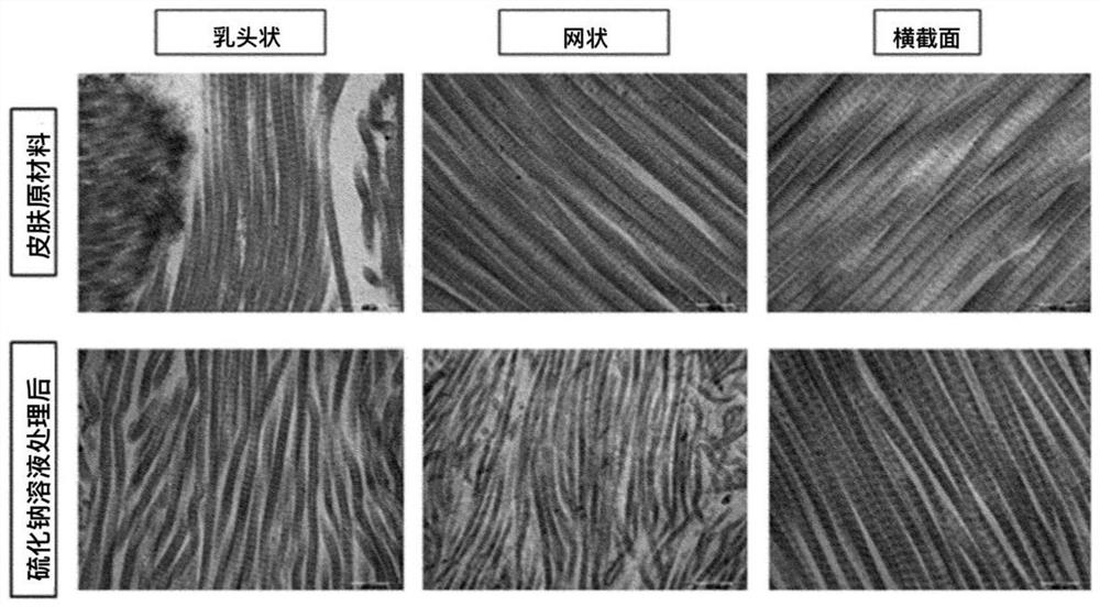 Hydrated acellular skin substitute material and manufacturing method thereof