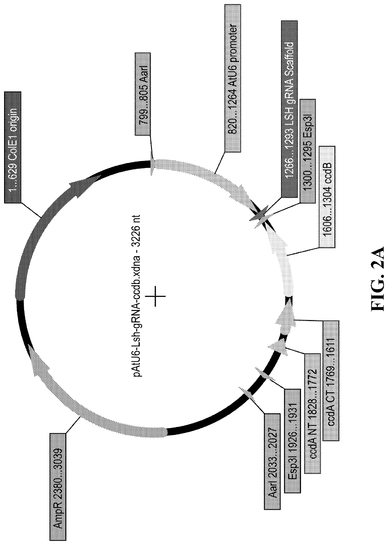 Crispr-systems for modifying a trait of interest in a plant