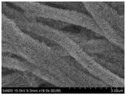 Preparation method of Sr-doped BaTiO3/ZnTe photocathode material