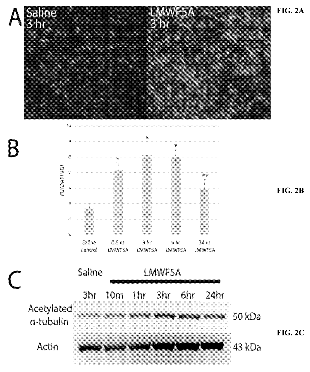 Treatment of diseases mediated by vascular hyperpermeability