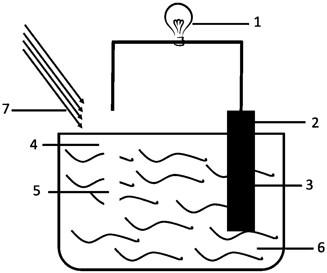 Solar-assisted seawater cell and preparation method thereof