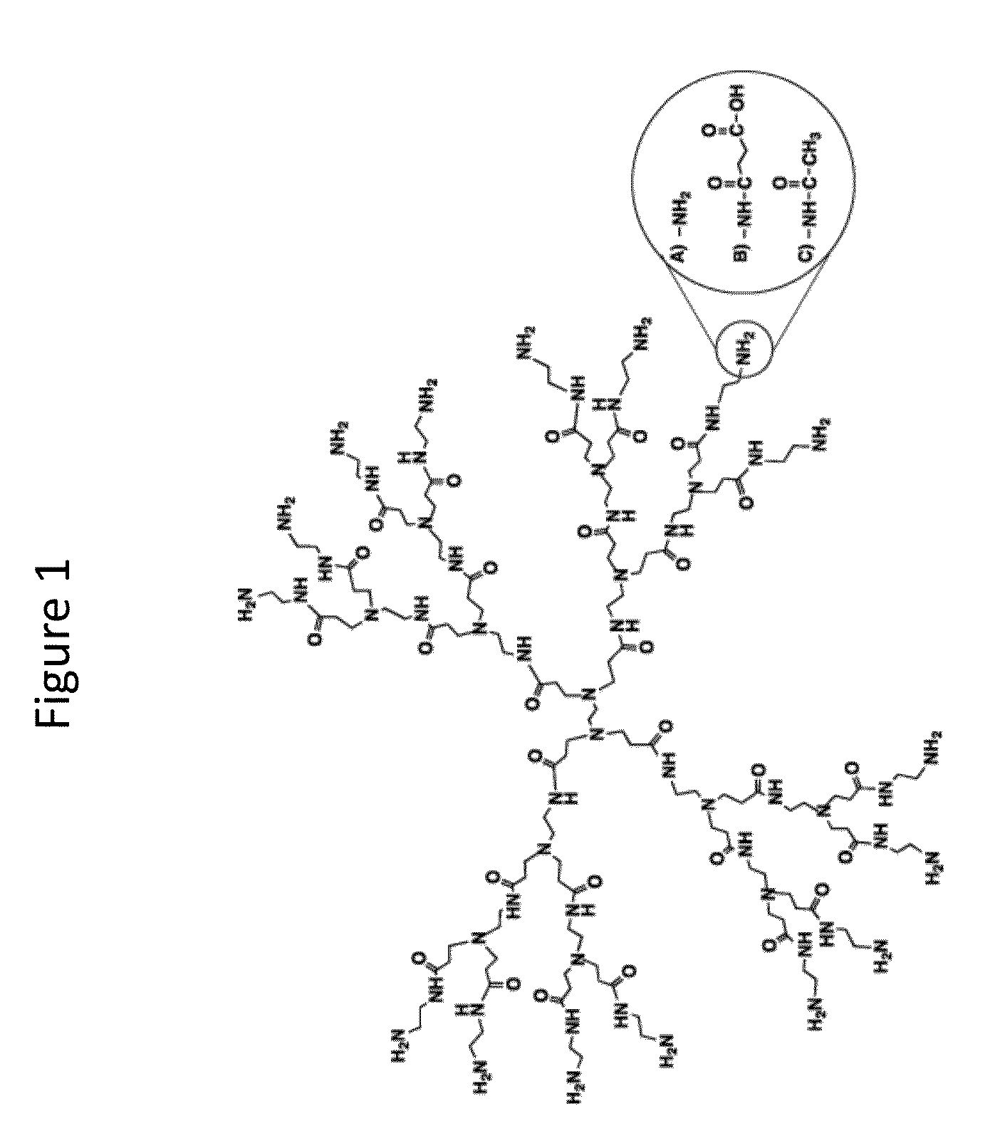 Transdermal Delivery of Therapeutic Agents Using Poly (Amidoamine) Dendrimers
