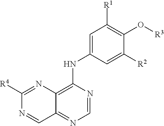 [1,3]DIAZINO[5,4-d]PYRIMIDINES AS HER2 INHIBITORS