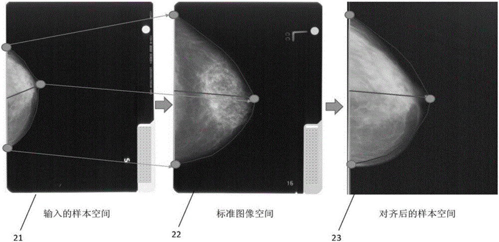 System and method for automatically detecting lesions in medical image through multi-model fusion