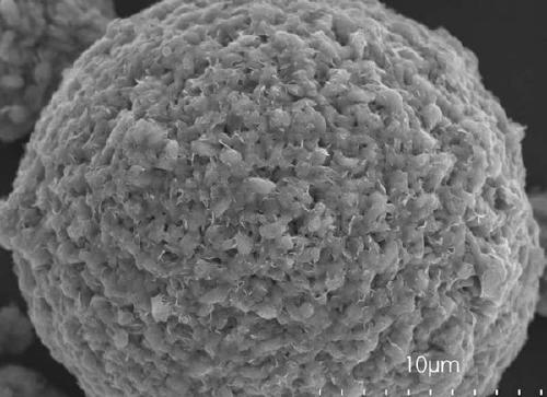 A preparation method of a nickel-rich ternary material coated with lithium cobalt phosphate