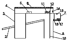 Fish passing device for water conservancy and hydropower dam