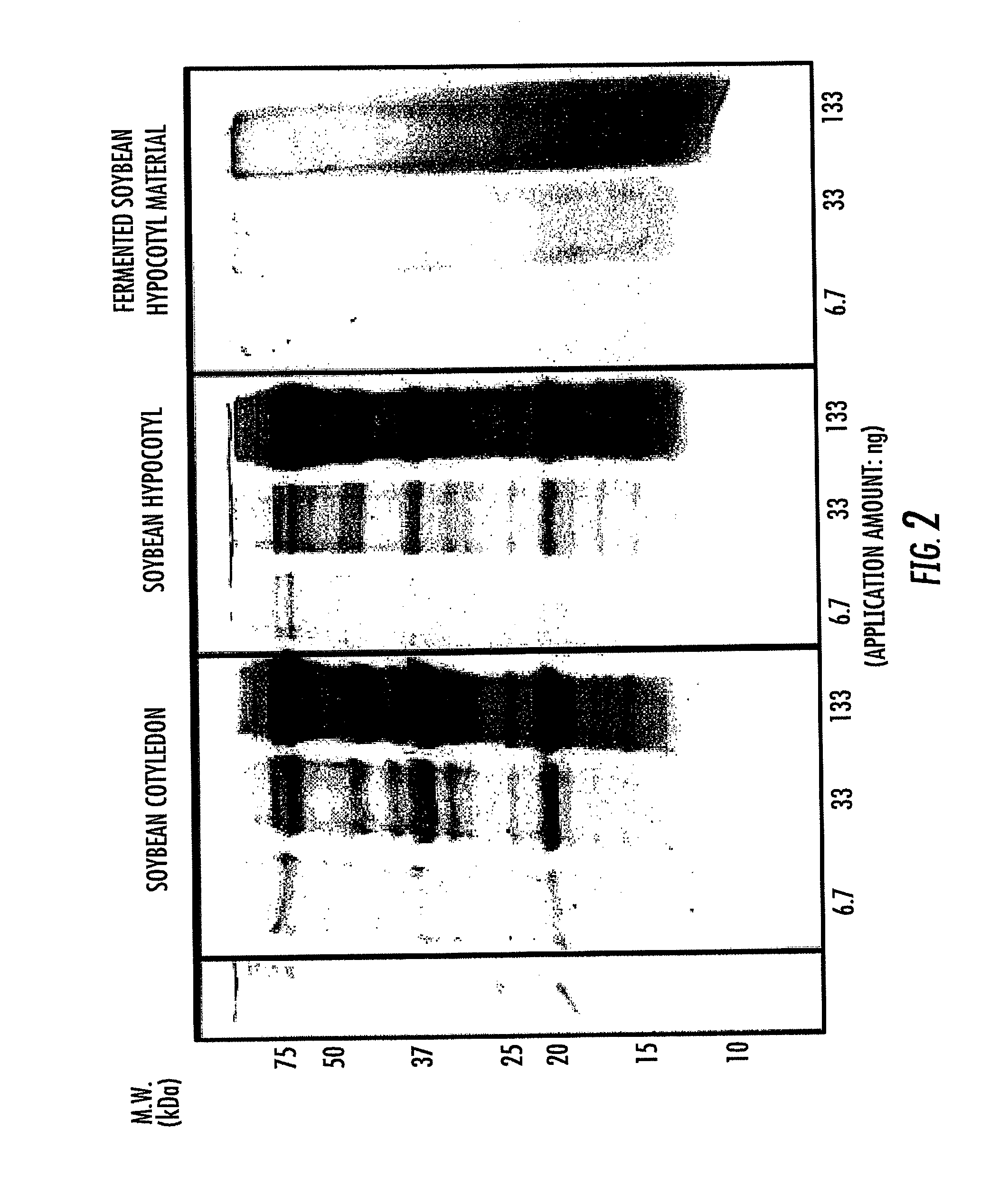 Equol-containing fermentation product of soybean embryonic axis, and method for production thereof