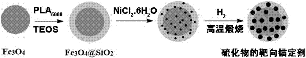 Target anchorage agent for sulfide in oil and preparation method and application thereof
