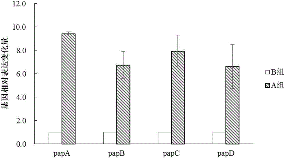 Polypeptide and lactobacillus plantarum extracellular metabolite, application thereof, method for inducing lactobacillus plantarum to produce bacteriocin and identification method