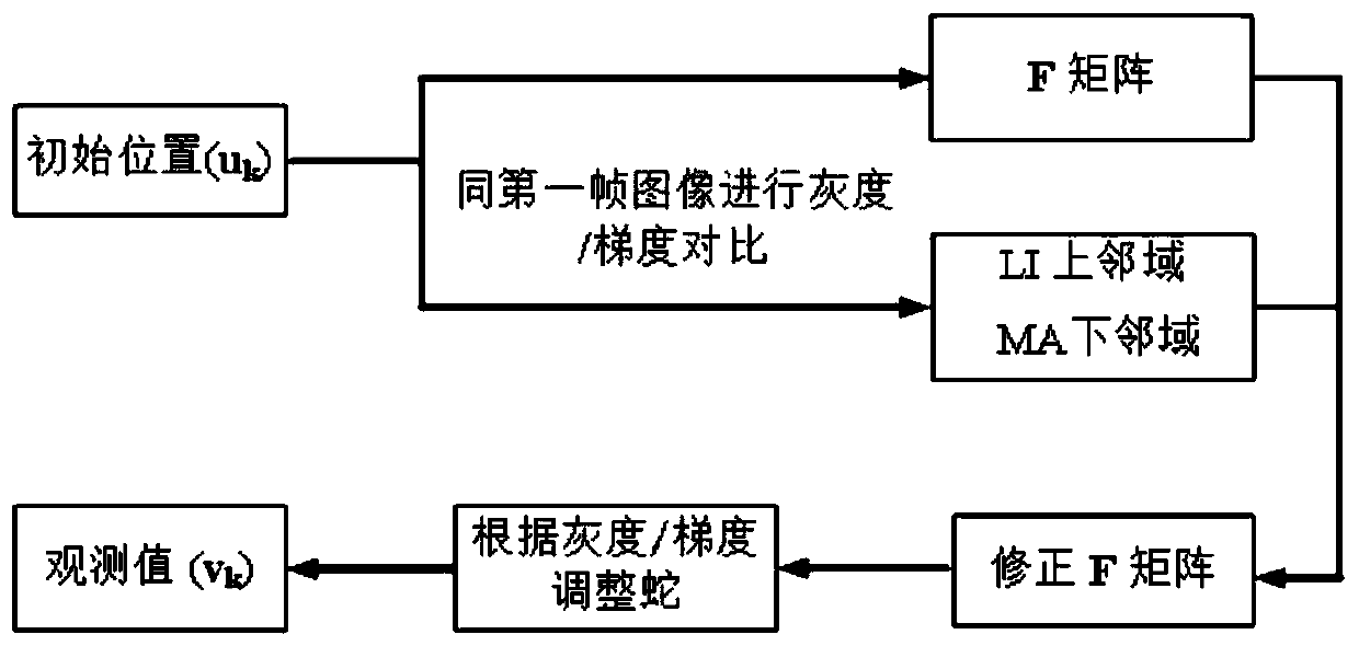 A carotid artery intima-media boundary automatic segmentation method and system