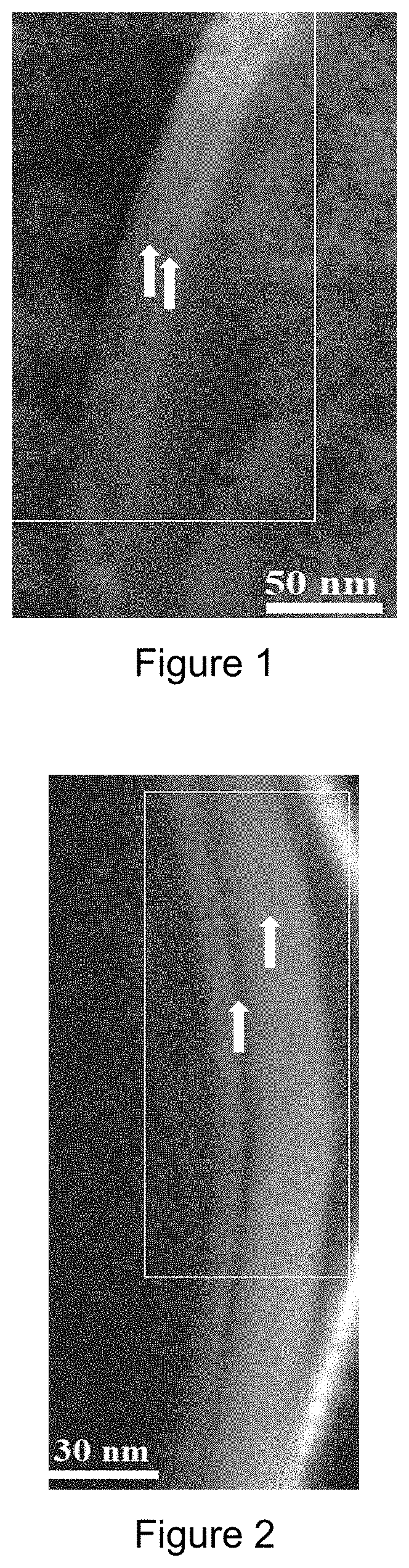 Process for the manufacture of pharmaceutical compositions