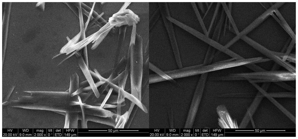 A kind of florfenicol instant microparticles and preparation method thereof