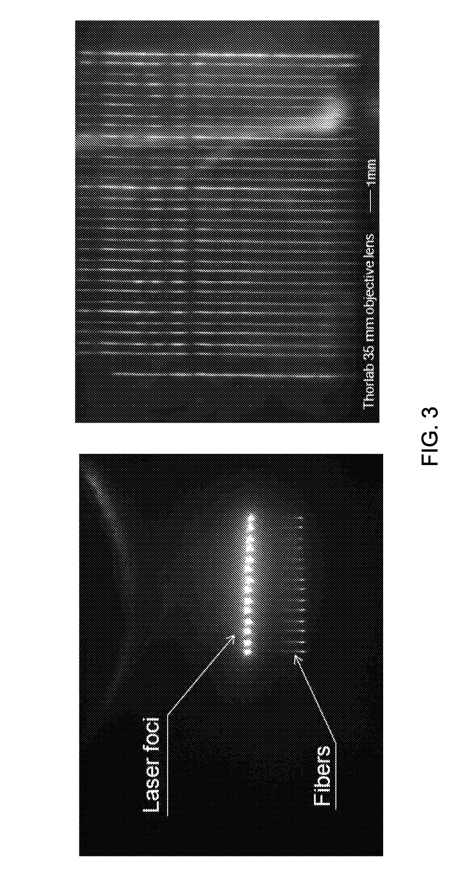 Contiguously blended nano-scaled multi-phase fibers