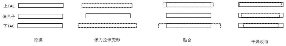 A method for adjusting warping of polarizer