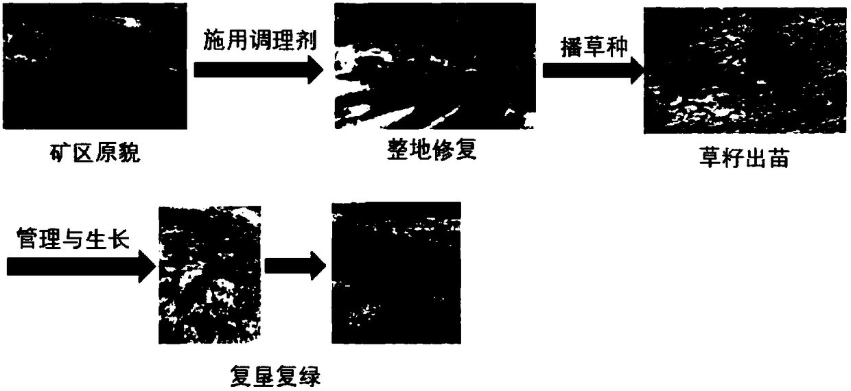 Active agriculture and forestry charcoal micro-nano composite soil conditioning agent and preparation method thereof