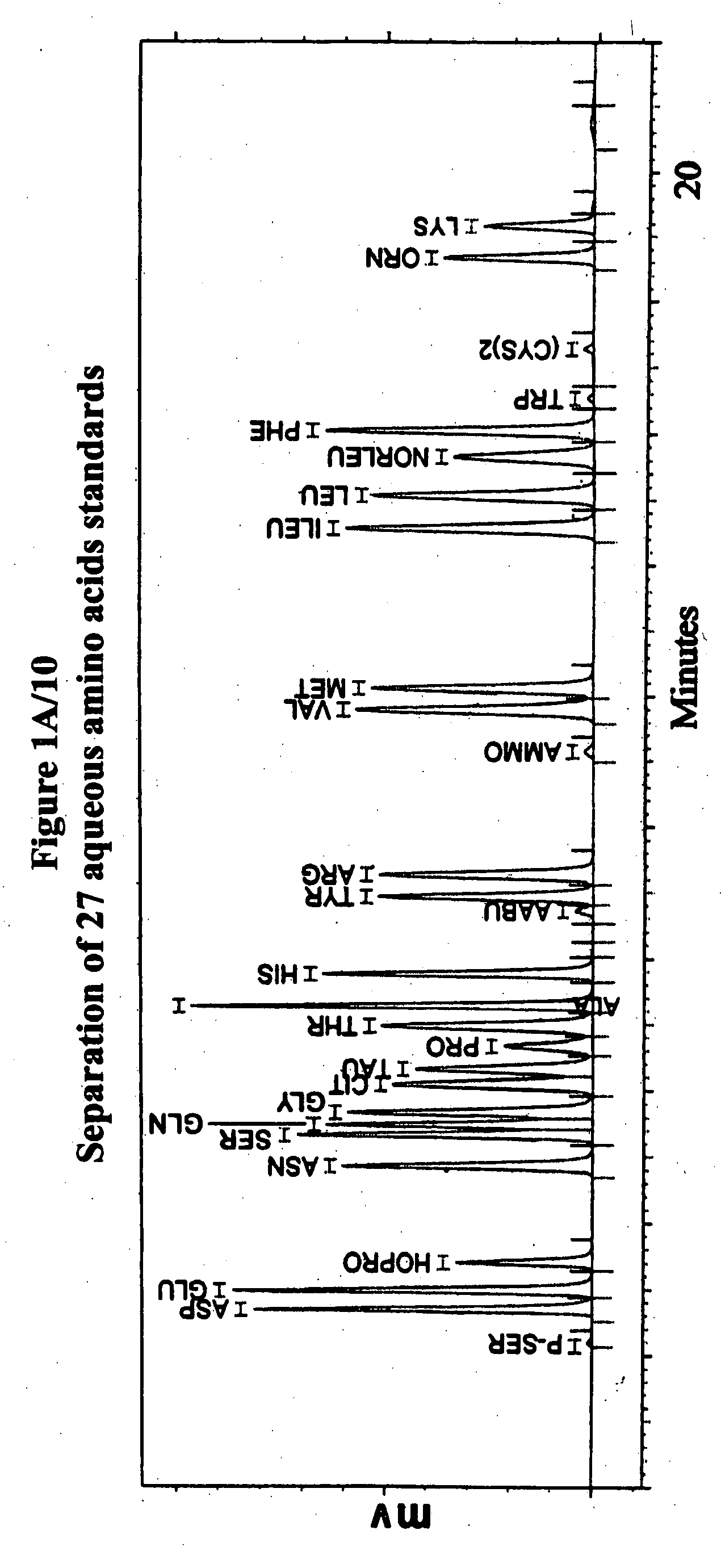 Human plasma free amino acids profile using pre-column derivatizing reagent- 1-naphthylisocyanate and high performance liquid chromatographic method