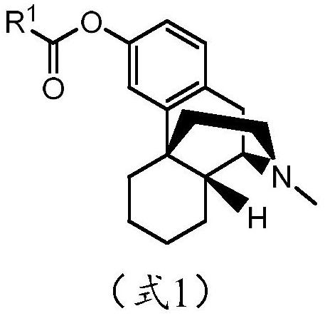 Abuse-resistant long-acting release opioid prodrugs