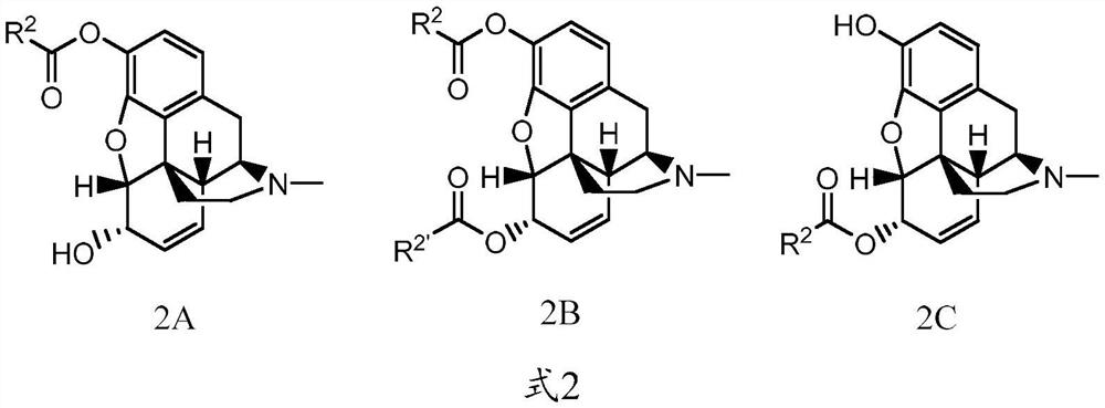 Abuse-resistant long-acting release opioid prodrugs