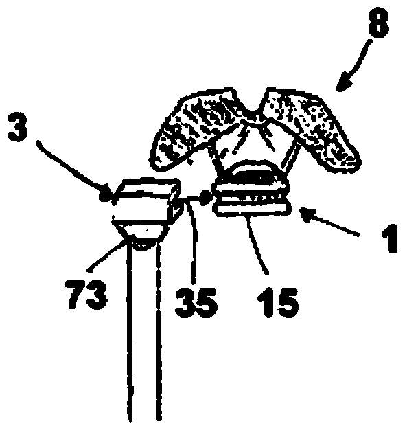 Quick-release anchoring device for bicycle saddle or the like