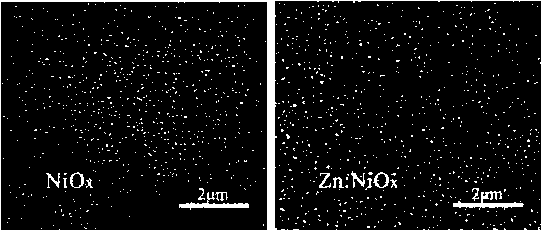 Zinc-doped nickel oxide hole transport layer reserve perovskite solar cell and preparation method