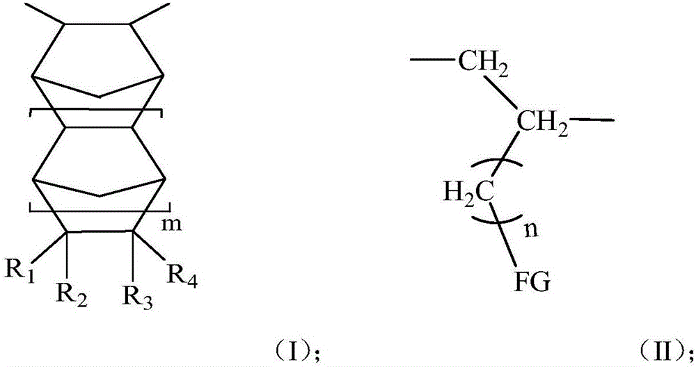 Functional cyclic olefin copolymer and preparation method thereof