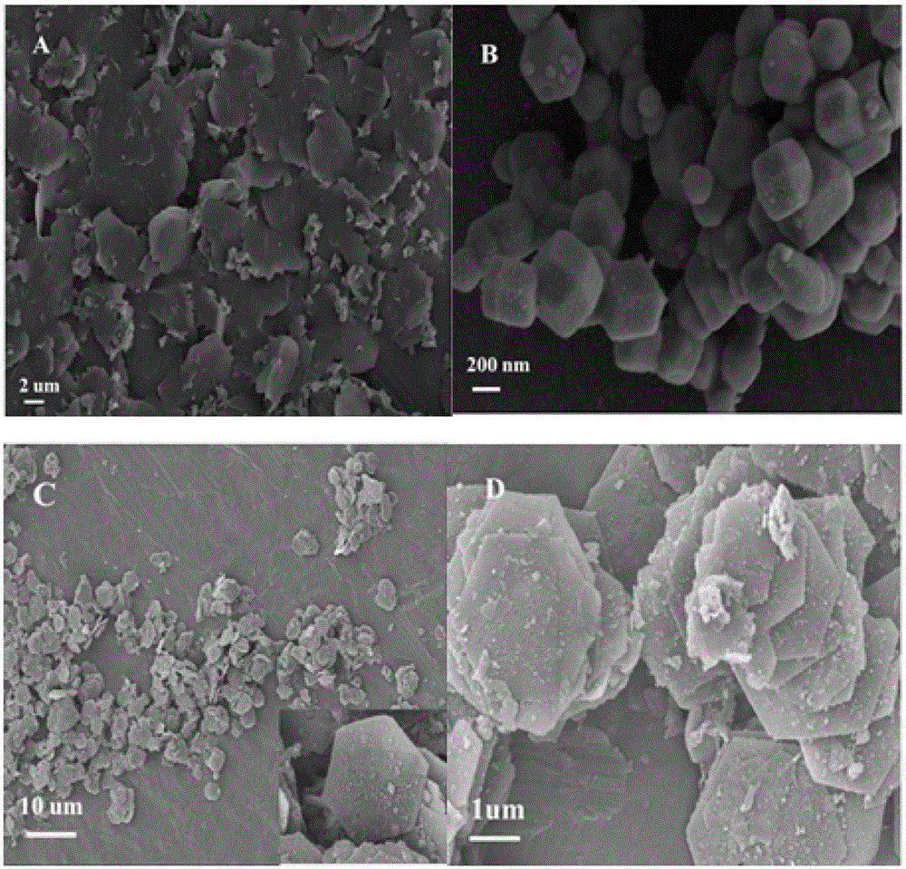 Preparation method of single-layer hexagonal Ag3PO4/Fe3O4/Co-Ni LDH (layered double hydroxide) composite material