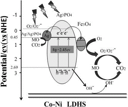 Preparation method of single-layer hexagonal Ag3PO4/Fe3O4/Co-Ni LDH (layered double hydroxide) composite material